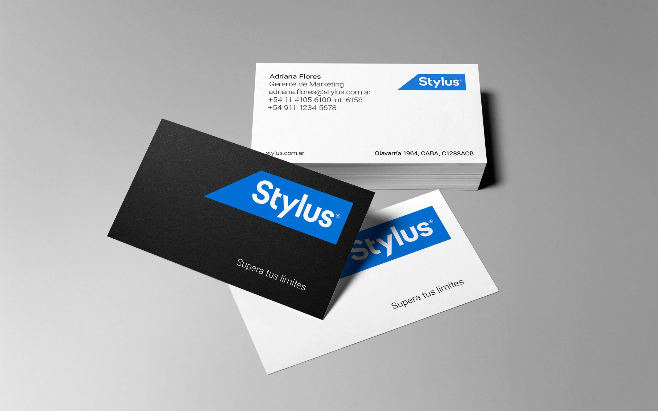 Stylus business cards and institutional letterhead using the new brand identity
